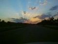 IMAGE 093